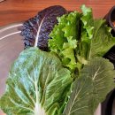 들녘쌈밥 이미지