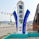 털보애견