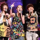 2NE1 카카오 검색결과