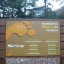 계룡스파텔 이미지