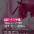 하나로양한방동물병원