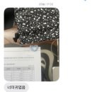 라라코스트(북항점) | 목포 소품샵 | 목포 로컬 소품샵 ‘0117 스튜디오’ 목포 갈 만한 곳, 목포 구경거리, 목포 귀여운 선물...