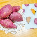 별밤농장 이미지