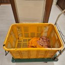 비슬산참숯굴찜질방 이미지