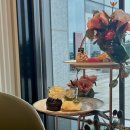 노리댕댕 이미지