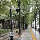 국채보상운동기념공원공영주차장 이미지