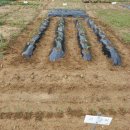 다시농장 이미지