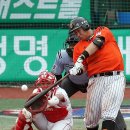 원 연합뉴스