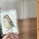 [국악] 🐦 허이야~ 참새야! 🌾 참새와 허수아비 놀이 이미지