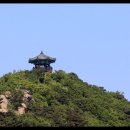 서포리아 이미지