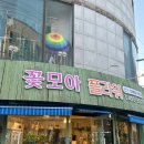 모아플라워 - 강동구 진황도로47길 73 | 사동 꽃집 사리역 근처 꽃모아플라워 꽃다발 후기