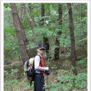 2010-7-14 익산기관차산악회원들과 충북괴산 칠보산을 산행하다 이미지