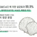 (주)더올가