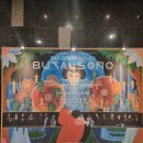 오페라비디오 | 콘서트 오페라 칼레아 부탈소로 국제음악상 수상기념 콘서트