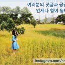 복어잡는사람들 두류점 이미지