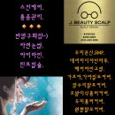 제이J스칼프