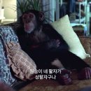 스커피