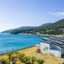 플러피 애견 풀빌라 이미지