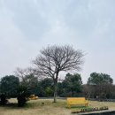 서광모텔 | 제주도가성비호텔 서귀포 제주항공우주호텔 후기