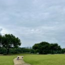 꼬리살랑 | 💐 대구 하중도 코스모스 만개🌸 가족&amp;강아지랑 함께한 가을 산책 후기 🐾