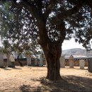 영해면사무소 이미지