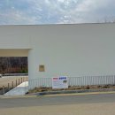 서현목장 | 📍분당 카페 ‘레이드’ 멧돼지 출현 주의 찍고 간 숲뷰 카페 (주차편함)