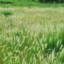 미단씨티광장 이미지