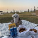 함덕 숨어있는집 이미지