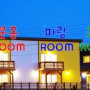 나무앤씨키즈