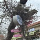 아산가든 | 아산 가든블룸 나들이 내돈내산 방문후기 / 메뉴, 주차, 가격