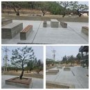 커피숍1107 | 강원도 커피숍(강릉 핸드드립 보헤미안 박이추커피공장)