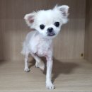 문형산길 이미지