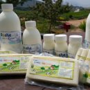 시온1목장 이미지