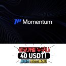 모멘텀에드 네이버블로그