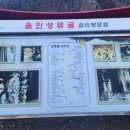 성류굴주차장(남부) 이미지