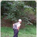 남선목장 이미지