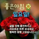 사람의 품위 이미지