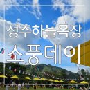 하늘소풍 | 즐거움 가득한 대구 근교 놀곳 성주하늘목장 소풍데이 가을운동회 다녀온 후기