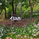 497정원 이미지