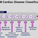수원24시 바른동물의료센터 이미지