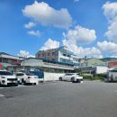 신도시장 | 대전 신도 꼼지락 시장 언니네 빵집 맘모스빵 후기