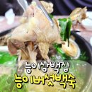 참나무능이버섯백숙 | 태광 CC 맛집 능이삼백집ㅣ땀 흘린 후 먹는 여름 보양식 능이버섯 백숙 후기