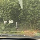 사천 스테이 195 호스텔 | 강릉 숙소 추천 l 감성 가득 바다 뷰 숙소 사천스테이195 내돈내산 솔직후기