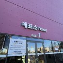 피노디아 | 속초 실내 가볼 곳 피노디아 박물관 후기