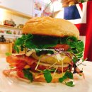 케이프유니스 이미지