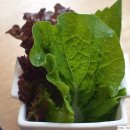 제이키친2015 이미지