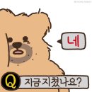 제이누벨