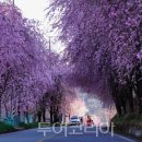 (주)부산그린여행사