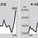 (주)데이콤