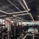 피티플레이스 이미지